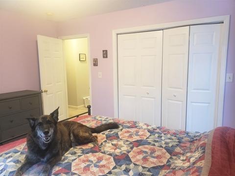 174 Old Belchertown Rd, Ware, MA 01082 photo 28