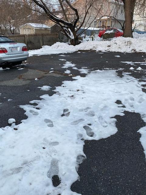 139 Moxon St, Springfield, MA 01151 photo 2