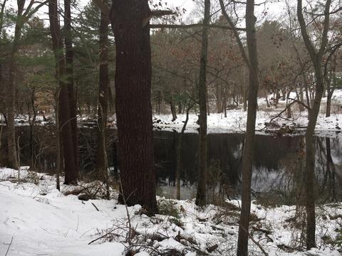 400 West St, Dedham, MA 02026 photo 6