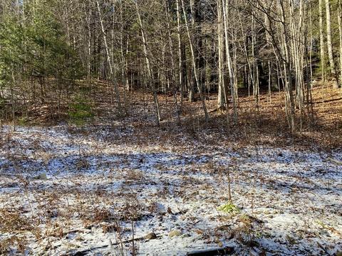20 Judd Rd, Heath, MA 01346 photo 12