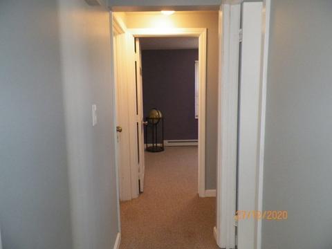 7 Oakview St, Worcester, MA 01605 photo 14