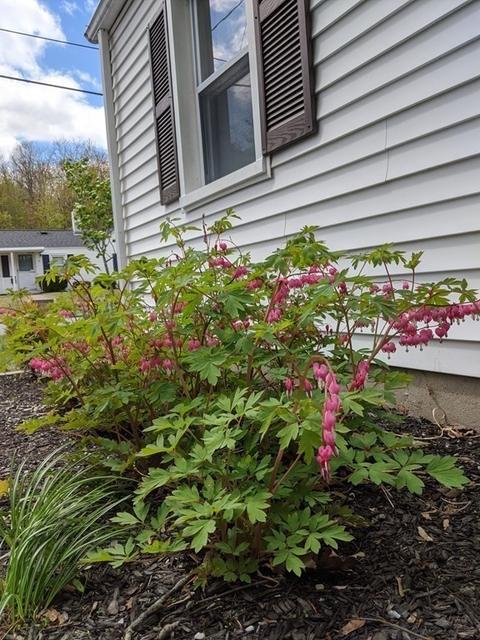 7 Oakview St, Worcester, MA 01605 photo 5