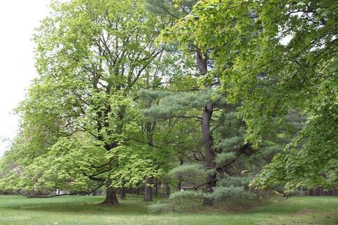 9 Grove St, Needham, MA 02492 photo 3