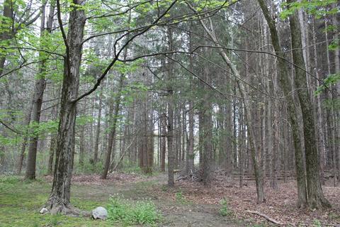 9 Grove St, Needham, MA 02492 photo 7