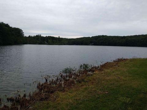 1361 E Otis Rd, Otis, MA 01253 photo 7