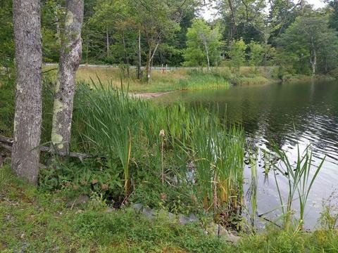 1361 E Otis Rd, Otis, MA 01253 photo 13