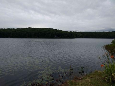 1361 E Otis Rd, Otis, MA 01253 photo 14