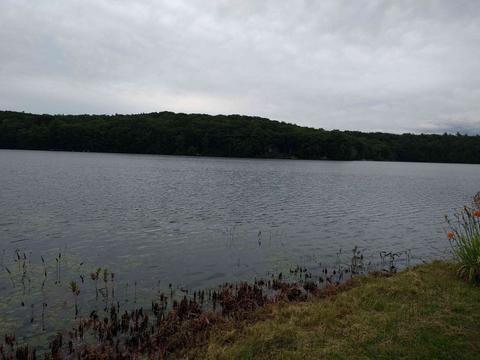 1361 E Otis Rd, Otis, MA 01253 photo 5