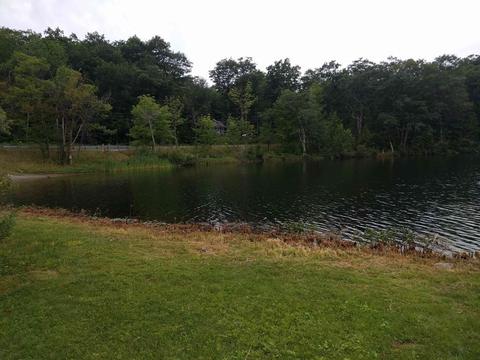 1361 E Otis Rd, Otis, MA 01253 photo 15
