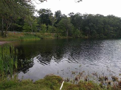 1361 E Otis Rd, Otis, MA 01253 photo 6