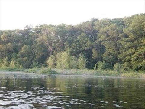 124 Gore Rd, Webster, MA 01570 photo 4