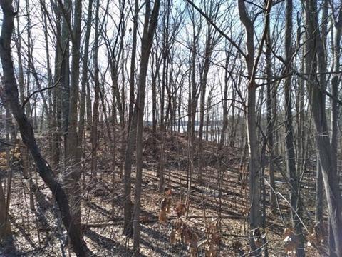 124 Gore Rd, Webster, MA 01570 photo 3
