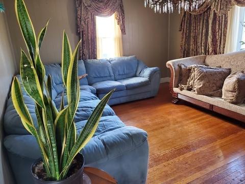 48 Merrill Rd, Springfield, MA 01119 photo 12