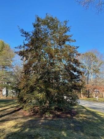 119 Sheaffer, Barnstable, MA 02632 photo 23