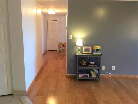 205 Ferry St #402, Everett, MA 02149 photo 6