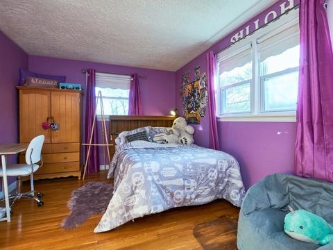 27 Darrell Dr, Randolph, MA 02368 photo 12