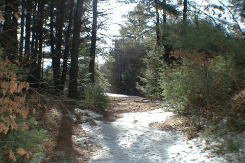 0 Tully Rd, Orange, MA 01364 photo 3
