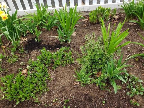 102 Great Rd, Maynard, MA 01754 photo 29