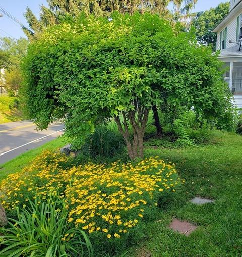 102 Great Rd, Maynard, MA 01754 photo 28