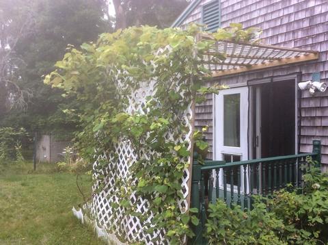 15 Pine Ln, Barnstable, MA 02630 photo 34