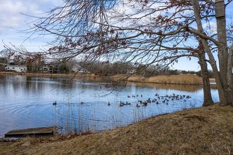15 Pine Ln, Barnstable, MA 02630 photo 36