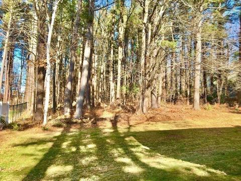 14 Rolling Dr, Framingham, MA 01701 photo 25
