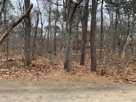 20 Fox Run Rd, Eastham, MA 02642 photo 5