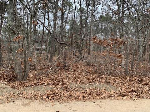 20 Fox Run Rd, Eastham, MA 02642 photo 1