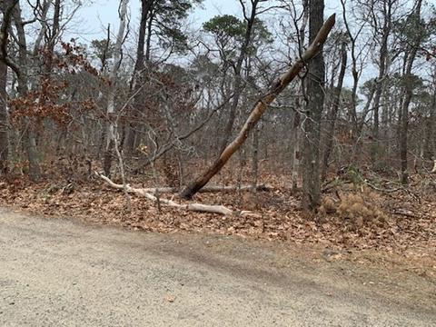 20 Fox Run Rd, Eastham, MA 02642 photo 6