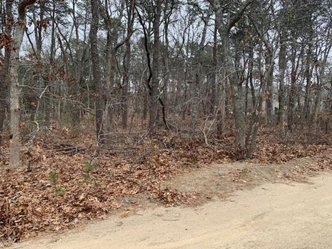 20 Fox Run Rd, Eastham, MA 02642 photo 3