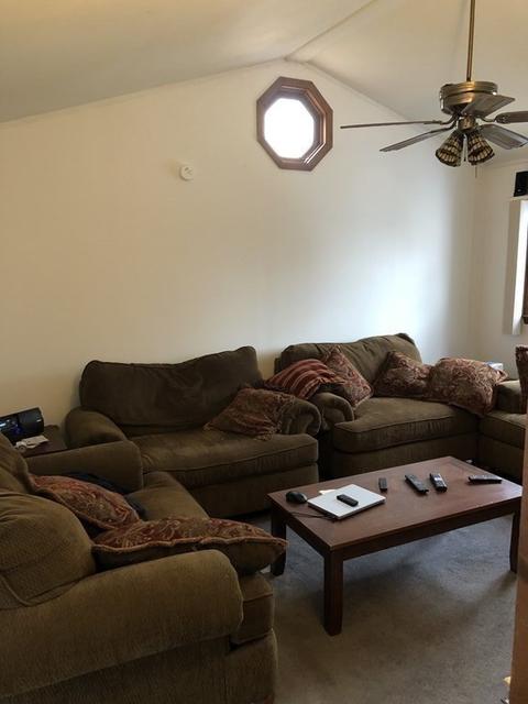 41 Birch Glen Rd, Springfield, MA 01119 photo 16
