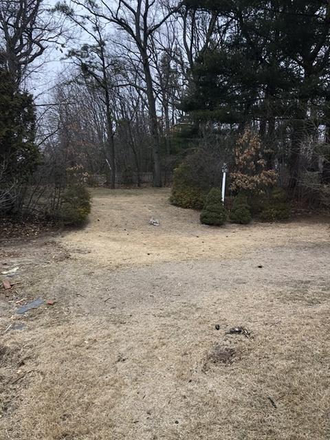 41 Birch Glen Rd, Springfield, MA 01119 photo 3