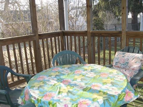 41 Upton St, Springfield, MA 01104 photo 19