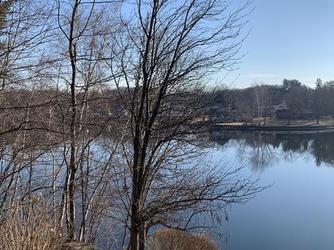 249 Lake Ave, Worcester, MA 01604 photo 4