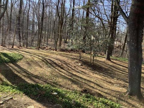 41 Upton Rd, Westborough, MA 01581 photo 9