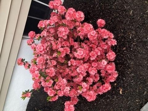 14 Watson Pkwy, Danvers, MA 01923 photo 7