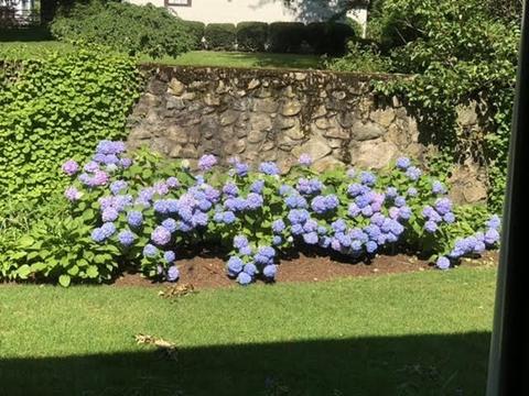 98 Laurel Dr, Needham, MA 02492 photo 5