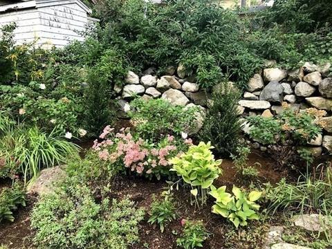 231 Appleton St, Arlington, MA 02476 photo 26