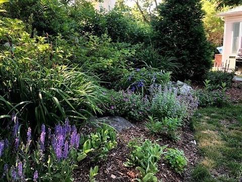 231 Appleton St, Arlington, MA 02476 photo 27