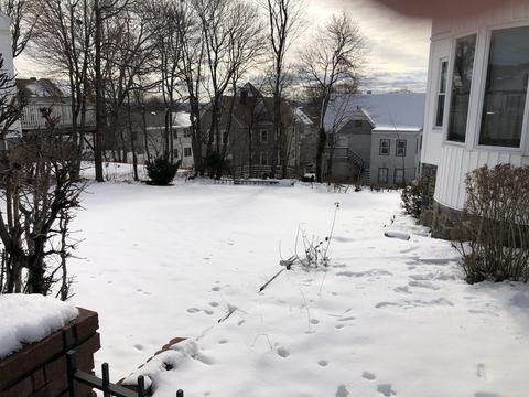 141 Garland St, Everett, MA 02149 photo 3