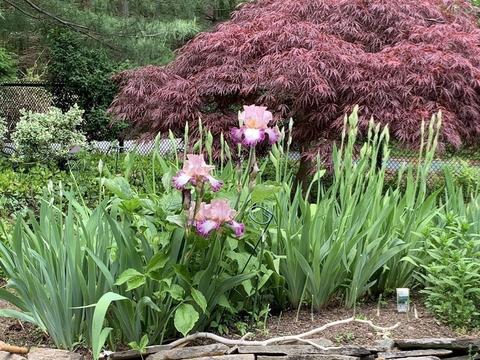 7 Valley Rd, Dover, MA 02030 photo 30