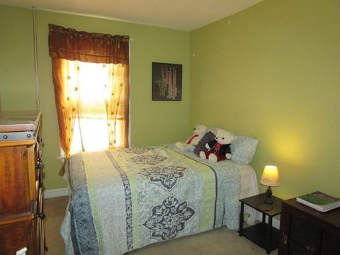 37 Circuit Ave E, Worcester, MA 01603 photo 10