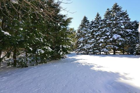 6 Captiva Rd, Walpole, MA 02081 photo 31
