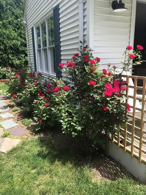 9 Ardmore Rd, Worcester, MA 01609 photo 27