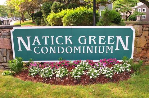 52 Silver Hill Ln #24, Natick, MA 01760 photo 36