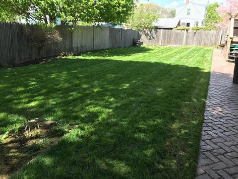 41 Zoar Ave, Dedham, MA 02026 photo 31