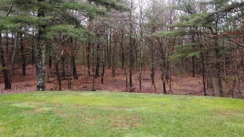 44 Colonial Dr, Mendon, MA 01756 photo 29