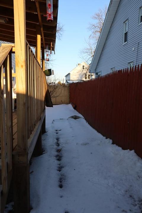 192 Maynard St, Springfield, MA 01109 photo 15