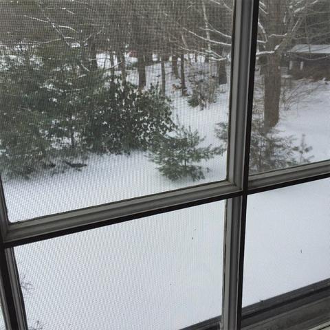 36 Starrett Ave, Athol, MA 01331 photo 19