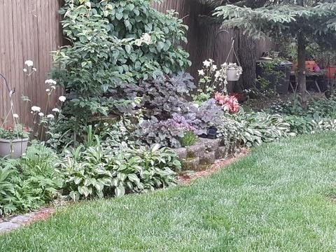 69 Clarendon St, Springfield, MA 01109 photo 20